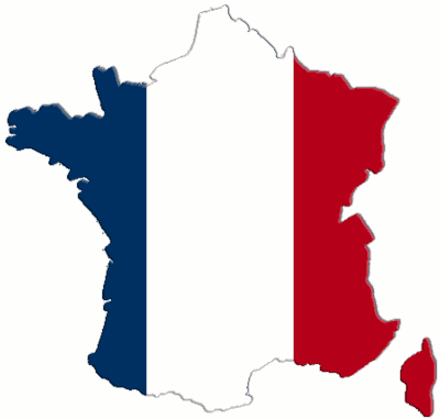 Francia: dati in calo per il fai da te 2