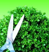 Agrarie: il terzo polo del giardinaggio
