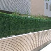 Orsogreen: per rispettare la privacy