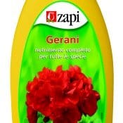 Per la cura dei gerani