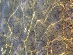 Acqua un bene da salvaguardare
