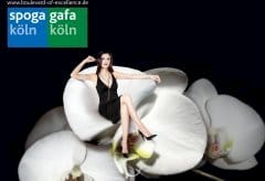 La motocoltura protagonista a Spoga-Gafa