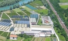 Azienda Agricola Luppi: stessa denominazione e stesso logo