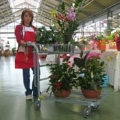 La pianetta per il garden