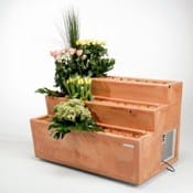 L’espositore che conserva i fiori più belli e più a lungo