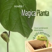 É “fiorita” una frase