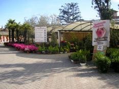 Visita a La Colorina Garden House di Nerviano
