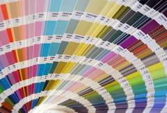 Colori e pennelli: affidabili e amici dell’ambiente