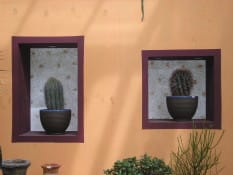 Regno Unito: cresce il giardinaggio eco consapevole