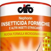 La soluzione al problema di formiche e di altri insetti striscianti