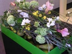 Ismea: le vendite di piante e fiori in aprile