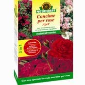 Azet Rose per una fioritura rigogliosa