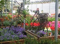 A Padova si discute del futuro del garden center