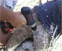 Gli elettroutensili Bosch salvano i rinoceronti della Namibia
