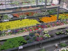 Garden center: una questione di identità