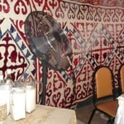 Una giraffa per amica