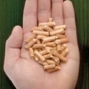 I bio pellet di qualità