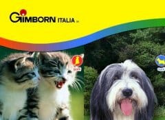 Nuovo sito per Gimborn