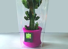 Fashion Plant entra in Autogrill