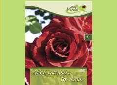 DVD Verde: nasce il “video green” pensato per i garden