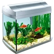 L'alta qualità di Tetra AquaArt