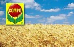 Compo Agricoltura cerca product manager
