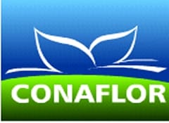 Nuovo CdA per Conaflor