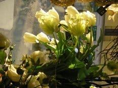 Visita a Ikebana Fleurs di Milano