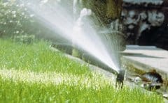 Databank fotografa gli attrezzi del verde