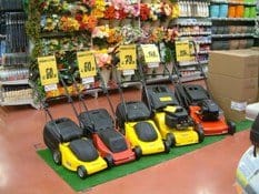 Rasaerba: il re del giardino