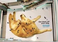 Frontline punta sul guerrilla marketing