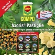 Grazie a Compo mai più problemi con gli insetti