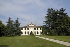La rosa protagonista di Vanzo Floreale