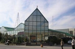 Fiorisce la primavera al Garden delle Meraviglie Steflor