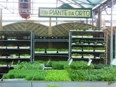 L'orto guiderà il Rinascimento del gardening italiano