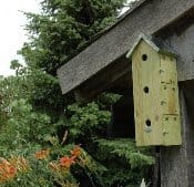 L’amore per gli animali del giardino