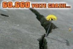 OBI per l’Abruzzo: 60.660 volte grazie