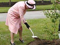 Anche la Regina Elisabetta si apre all’orto domestico