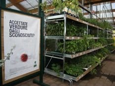 In attesa dei farm market italiani