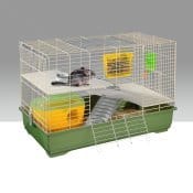 Ecologia e amore per gli animali