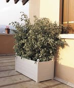 Da Marchioro un nuovo concetto di fioriera