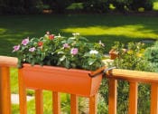 L’innovazione comincia in giardino