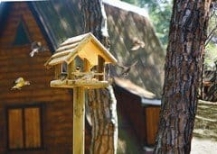 Birdfeeding: una bella opportunità per i garden italiani