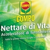 Nasce il nettare di vita