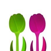 Il tulipano che illumina la casa