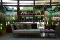 Il giardino invernale di Syngenta Flowers