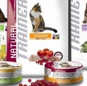 Per un gatto 'naturalmente felino'