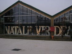 Il Natale di Viridea pensa ai bimbi