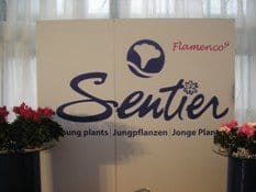 Sentier: dove i ciclamini sono di casa