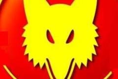Wolf verrà distribuito da Sandrigarden